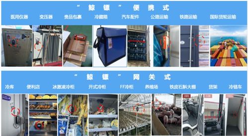 座頭鯨基于lorar的網關式智能產品賦能冷鏈物流行業物聯新基建