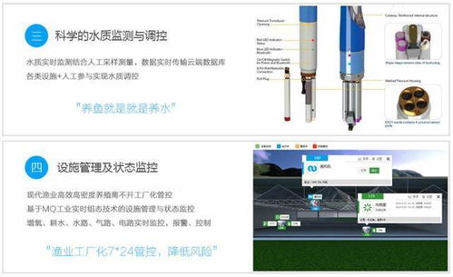 智漁科技 智慧漁業物聯網水產養殖新理念