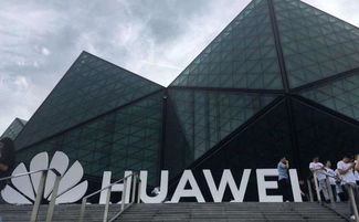 特朗普見不得中國領先,那就不好意思了 剛剛,中方對美亮明立場
