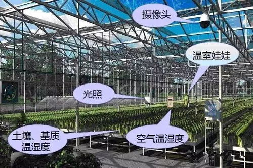 未來楊舍農村的發展方向