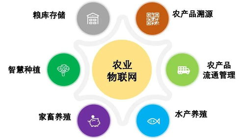 萬物皆可的物聯網,怎樣才能在農業領域綻放光芒